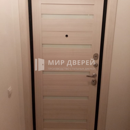 Дверь с МДФ накладкой и молдингами - фото